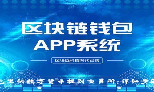 如何将TP钱包里的数字货币提到交易所：详细步骤与注意事项
