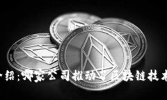 正统区块链介绍：哪家公