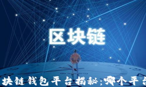 
全球最大的区块链钱包平台揭秘：哪个平台值得你信赖？
