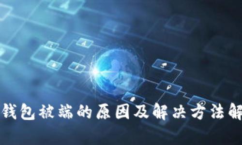 TP钱包被端的原因及解决方法解析