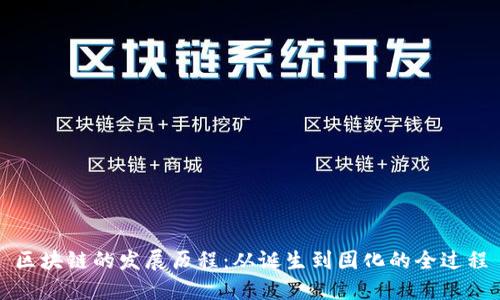 区块链的发展历程：从诞生到固化的全过程