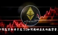 TP钱包里的币不见了？如何