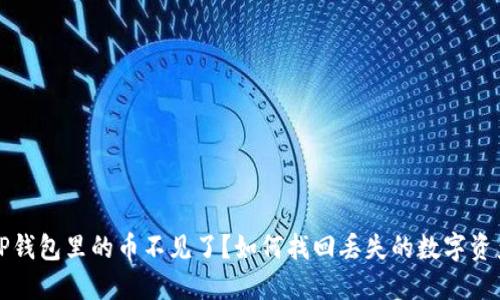 TP钱包里的币不见了？如何找回丢失的数字资产