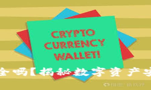 TP钱包安全吗？揭秘数字资产安全的真相