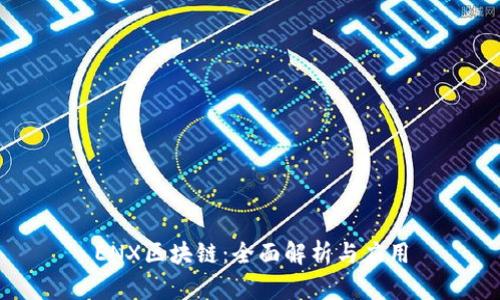 ENX区块链：全面解析与应用