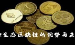 探索BE生态区块链的优势与