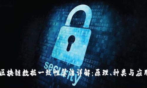 区块链数据一致性算法详解：原理、种类与应用