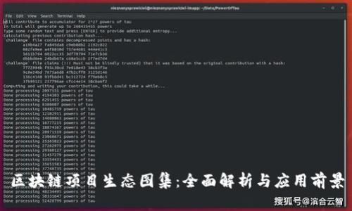 区块链项目生态图集：全面解析与应用前景