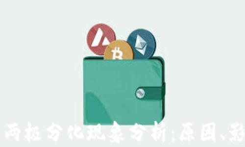 
区块链的两极分化现象分析：原因、影响与未来