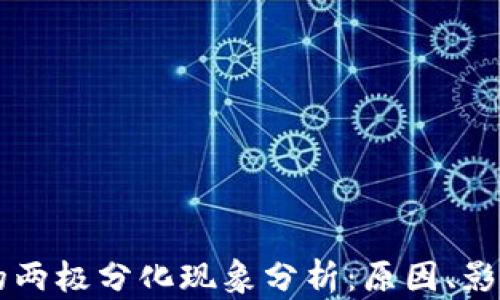 
区块链的两极分化现象分析：原因、影响与未来