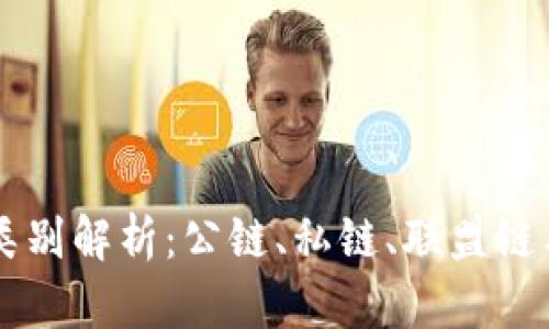 区块链的类别解析：公链、私链、联盟链与其他类型