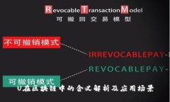 U在区块链中的含义解析及