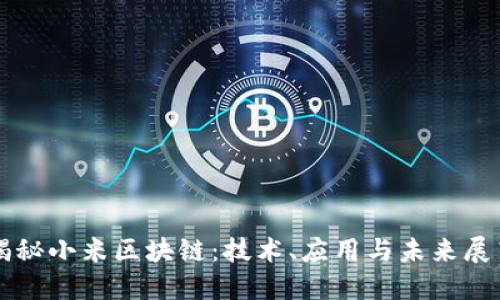 揭秘小米区块链：技术、应用与未来展望