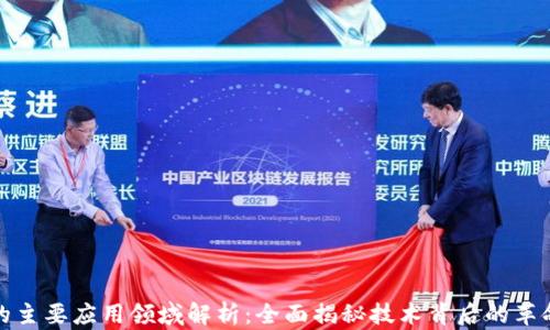 
区块链的主要应用领域解析：全面揭秘技术背后的革命性用途