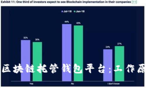 全面解析区块链托管钱包平台：工作原理与应用