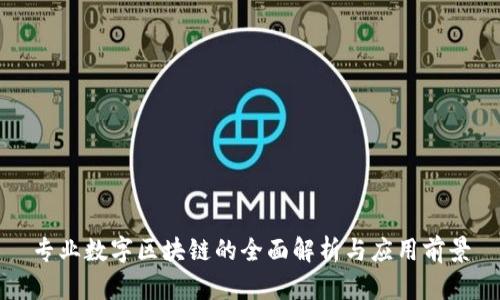 专业数字区块链的全面解析与应用前景