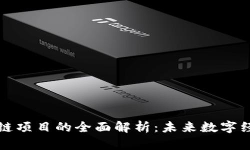 互联网区块链项目的全面解析：未来数字经济的新引擎