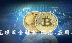 区块链极光项目全解析：