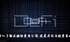 深入了解区块链资本公司