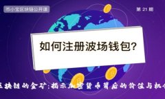 区块链的金矿：揭示加密