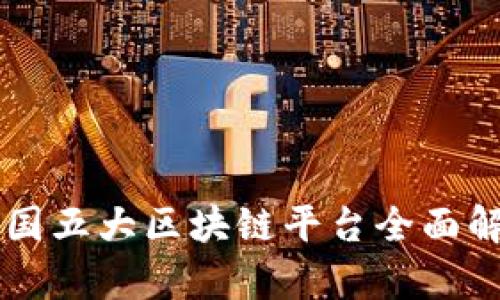 中国五大区块链平台全面解析