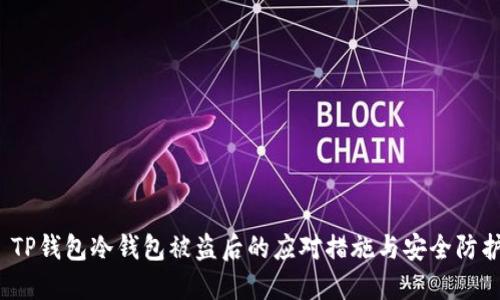  TP钱包冷钱包被盗后的应对措施与安全防护