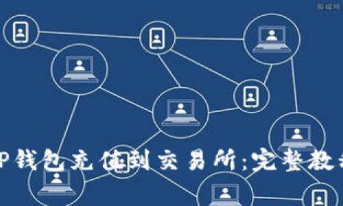 : 如何通过TP钱包充值到交易所：完整教程与注意事项