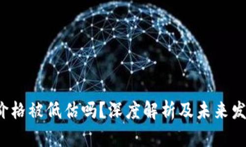 tpt币价格被低估吗？深度解析及未来发展展望