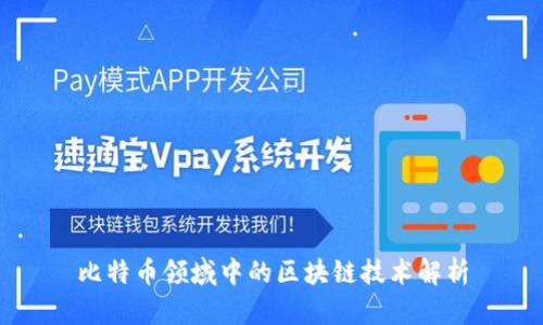 比特币领域中的区块链技术解析