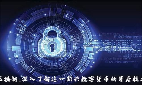   
维卡币区块链：深入了解这一新兴数字货币的背后技术与应用