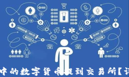 
如何将TP钱包中的数字货币提到交易所？详细步骤和指南