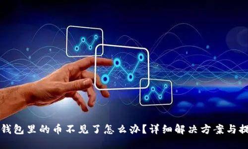 TP钱包里的币不见了怎么办？详细解决方案与提示