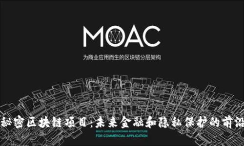 揭秘秘密区块链项目：未来金融和隐私保护的前沿技术