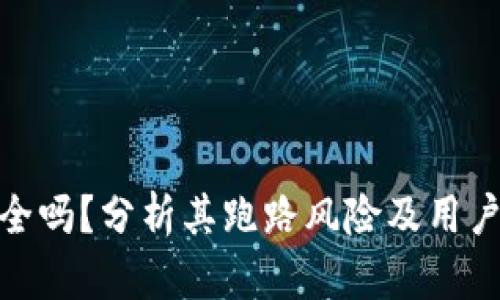 TP钱包安全吗？分析其跑路风险及用户保护措施