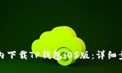 如何在国内下载TP钱包iO