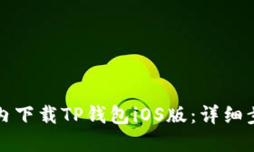 如何在国内下载TP钱包iOS版：详细步骤与指南