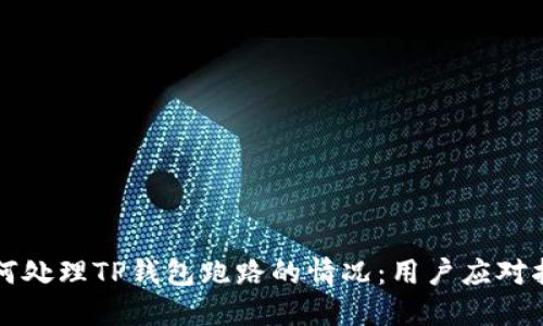 如何处理TP钱包跑路的情况：用户应对指南