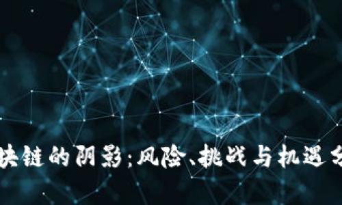 区块链的阴影：风险、挑战与机遇分析
