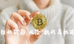 区块链的阴影：风险、挑