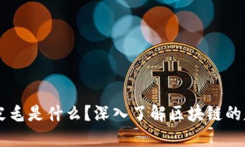 区块链的皮毛是什么？深入了解区块链的基础及应用