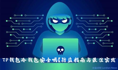 TP钱包冷钱包安全吗？防盗指南与最佳实践
