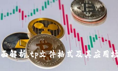 全面解析.tp文件格式及其应用场景