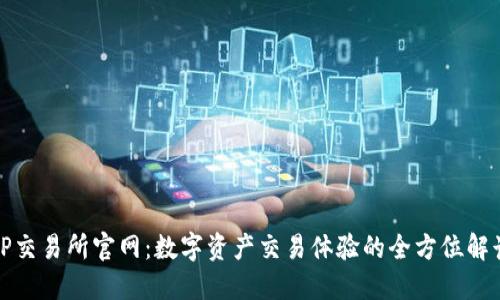 TP交易所官网：数字资产交易体验的全方位解读