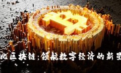 布比区块链：领航数字经