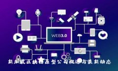 新加坡区块链原型公司概述与最新动态