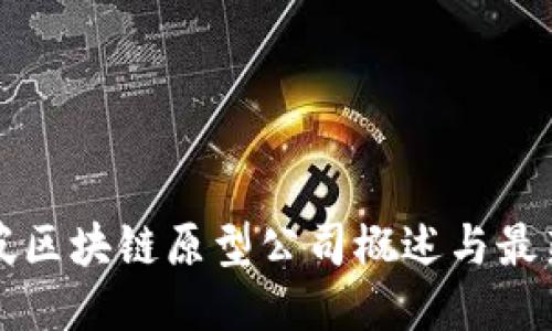新加坡区块链原型公司概述与最新动态