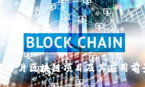 ### 与关键词


什么是分片区块链项目及其应用前景解析