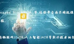 ＂BAAS＂ 是 ＂Blockchain as