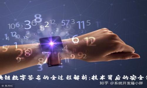 区块链数字签名的全过程解析：技术背后的安全保障