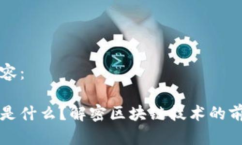 以下是您请求的内容：

区块链的应用系统是什么？解密区块链技术的前沿应用与未来趋势